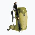 Rucsac turistic deuter AC Lite 24 l linden/cactus 9