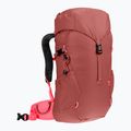 Rucsac de drumeție pentru copii Deuter Climber 22 l sequoia/hibiscus pentru copii 2