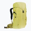Rucsac de drumeție pentru copii Deuter Climber 22 l sprout/linden pentru copii 2