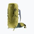 Rucsac de drumeție deuter Aircontact Core 40 + 10 l cactus/ivy 5