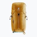 Rucsac turistic deuter Trail 24 l almond/deepsea