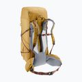 Rucsac de trekking deuter Aircontact Ultra 50 + 5 l savanna-raisin 5
