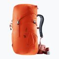 Rucsac turistic deuter Climber 22 l papaya/redwood 5