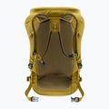 Rucsac de drumeții deuter Walker 24 l kelp 3