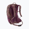 Rucsac turistic deuter Futura 21 l SL cassis/ashrose 5