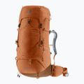 Rucsac de trekking pentru femei deuter Aircontact Lite 45 + 10 l SL pecan/mocha 2