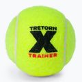 Tretorn X-Trainer mingi de tenis 72pcs galben 3T44 474235 2