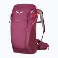 Rucsac de trekking pentru femei Salewa Alp Trainer 20 mov 00-0000001262