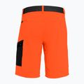 Pantaloni scurți de drumeție pentru bărbați SALEWA Pedroc Cargo 2 4151 portocaliu 26934 5