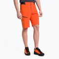 Pantaloni scurți de drumeție pentru bărbați SALEWA Pedroc Cargo 2 4151 portocaliu 26934