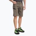 Pantaloni scurți de drumeție pentru bărbați Salewa Lavaredo Hemp Hemp maro 00-0000028033