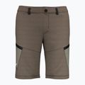 Pantaloni scurți de drumeție pentru bărbați Salewa Lavaredo Hemp Hemp maro 00-0000028033 5