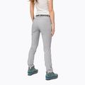 Pantaloni softshell pentru femei Salewa Pedroc 3 DST gri 00-0000026956 3