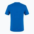 Tricou de trekking pentru bărbați Salewa Alpine Hemp Logo albastru 00-0000028132 5