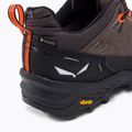 Cizme de trekking pentru bărbați Salewa Alp Trainer 2 GTX maro 00-0000061400 8