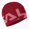 Salewa Antelao 2 Șapcă reversibilă roșu 00-0000027357 4
