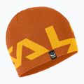 Salewa Antelao 2 Șapcă reversibilă toamnă aurie 00-0000027357 4