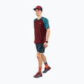Tricou de alergare DYNAFIT Alpine Pro pentru bărbați, maro 08-0000070964