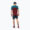 Tricou de alergare DYNAFIT Alpine Pro pentru bărbați, maro 08-0000070964 2