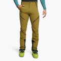 Pantaloni de schi-tour pentru bărbați DYNAFIT Mercury 2 DST verde 08-0000070743