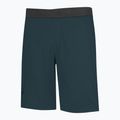 Pantaloni scurți de alpinism Wild Country Session pentru bărbați, albastru 40-0000095193 4