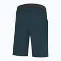 Pantaloni scurți de alpinism Wild Country Session pentru bărbați, albastru 40-0000095193 5