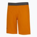 Pantaloni scurți de alpinism Wild Country Session pentru bărbați, portocaliu 40-0000095193 4