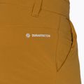 Pantaloni bărbătești Salewa Puez DST Cargo maro 00-0000028310 3