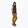 Pantaloni de trekking pentru femei Salewa Talvena 2 DST golden brown 2