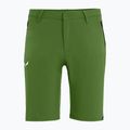 Pantaloni scurți de drumeție pentru bărbați Salewa Talveno DST verde deschis 00-0000027064 4