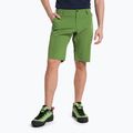 Pantaloni scurți de drumeție pentru bărbați Salewa Talveno DST verde deschis 00-0000027064