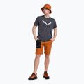 Pantaloni scurți de alpinism pentru bărbați Salewa Lavaredo Hemp Ripstop maro 00-0000028552 2