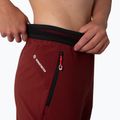 Pantaloni de trekking pentru femei Salewa Pedroc 2 DST 2/1 maro 00-0000028588 5