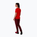 Pantaloni de trekking pentru femei Salewa Pedroc 4 DST maro 00-0000028594 4