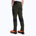 Pantaloni de trekking pentru bărbați Salewa Pedroc 2 DST Verde deschis 00-0000028597 3