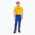 Pantaloni de trekking pentru bărbați Salewa Pedroc 2 DST Albastru deschis 00-0000028597 2