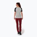 Pantaloni de trekking pentru femei Salewa Pedroc 2 DST Roșu deschis 00-0000028598 2
