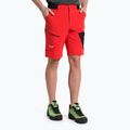 Pantaloni scurți de trekking pentru bărbați Salewa Pedroc 3 DST Cargo roșu 00-0000028601