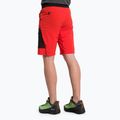Pantaloni scurți de trekking pentru bărbați Salewa Pedroc 3 DST Cargo roșu 00-0000028601 3