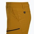 Pantaloni scurți de trekking pentru bărbați Salewa Puez DST Cargo golden brown 4