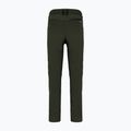 Pantaloni softshell pentru bărbați Salewa Agner DST dark olive 2