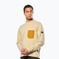 Bluza bărbați Salewa Fanes Dry Pullover quicksand