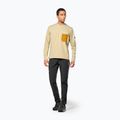 Bluza bărbați Salewa Fanes Dry Pullover quicksand 2
