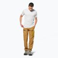 Tricou pentru bărbați Salewa Puez HYB Dry white 2