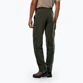 Pantaloni bărbătești de trekking Salewa Puez Hemp Dst Dark Love 3