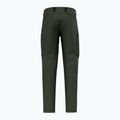 Pantaloni bărbătești de trekking Salewa Puez Hemp Dst Dark Love 8