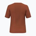 Tricou de trekking pentru bărbați Salewa Pedroc Dry Hyb bombay brown 2