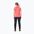 Tricou de trekking pentru femei DYNAFIT Traverse 2 cabana 3