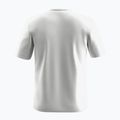 Bărbați Salewa Eagle Geometric T-shirt alb optic 2