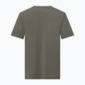 Bărbați Salewa Eagle Nature faded verde T-shirt 2